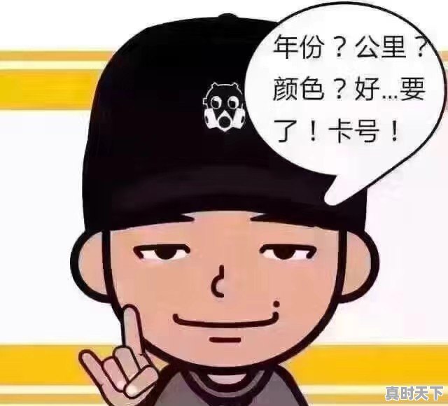 合肥夏阳车管所二手车多久能拿牌照 - 真时天下