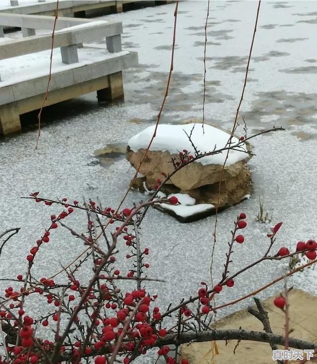 山东省天气预报地级市顺序 - 真时天下