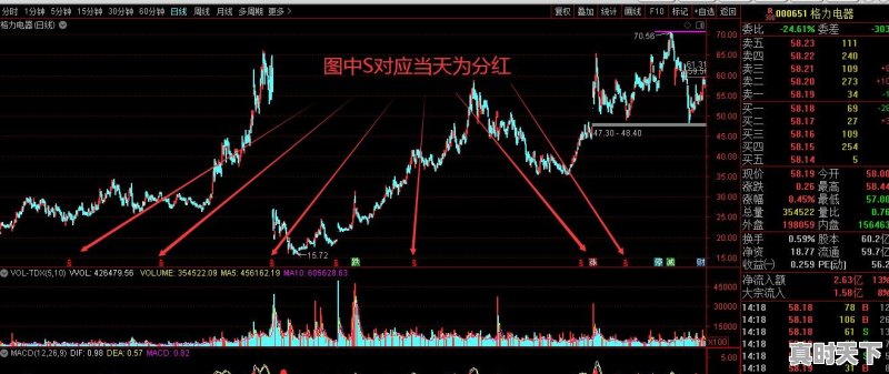 股票什么时候买入可以分红 - 真时天下