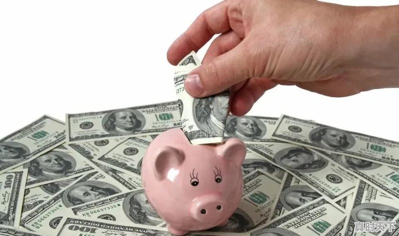 2021年十一月猪肉价格会下跌吗 - 真时天下