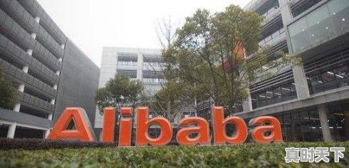 除了华为、大疆、海康威视,中国还有哪些世界一流的科技公司(做贸易和游戏的不算) - 真时天下