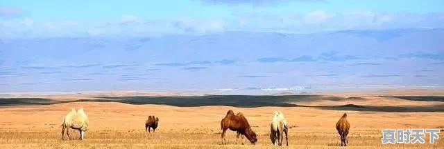 兴隆天气预报 - 真时天下