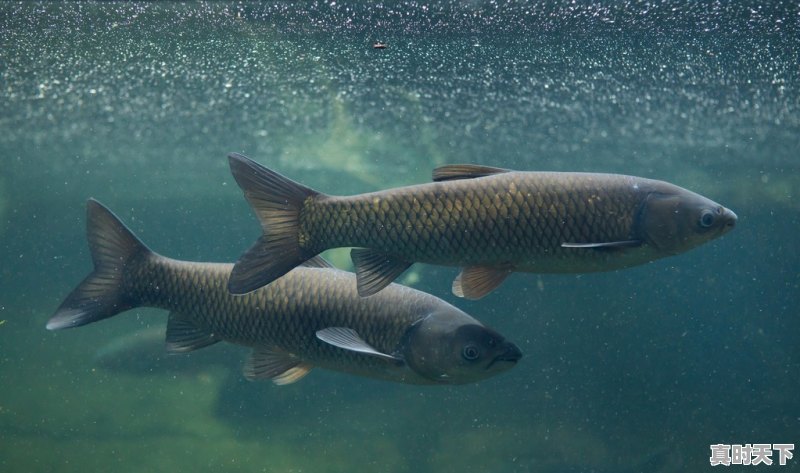 潘安湖天气 - 真时天下