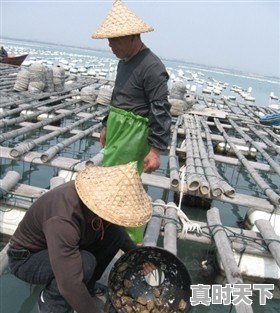霞浦天气台风预警 - 真时天下