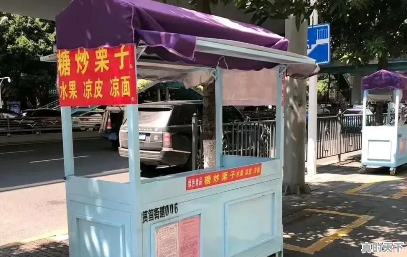 厦漳大桥限速多少 - 真时天下