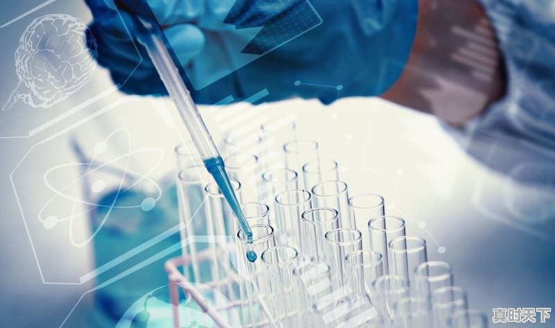 机构持仓十大股票排名 - 真时天下