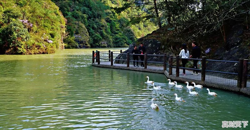 我50了,东北的,想在云南人生地不熟的地方养老可以吗 - 真时天下