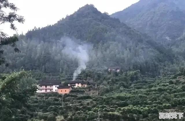 小学课文收稻谷原文 - 真时天下