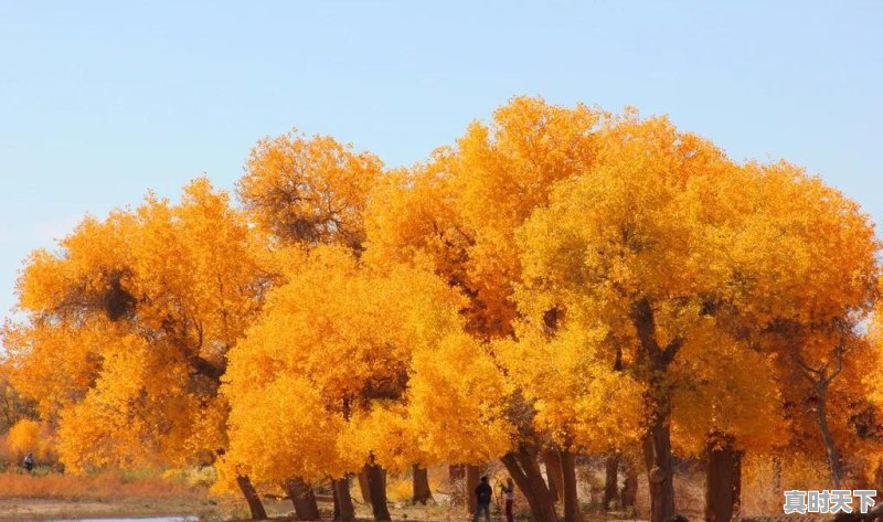 和田天气于田县 - 真时天下