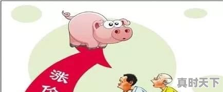 今日生猪价格9月17日走势 - 真时天下