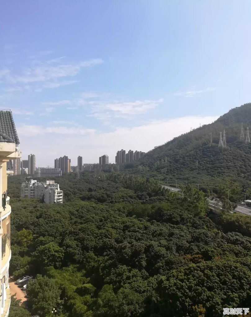 深圳的天气怎么样,冷还是热 - 真时天下