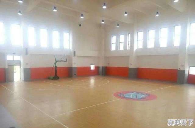 篮球馆木地板的价格表 - 真时天下