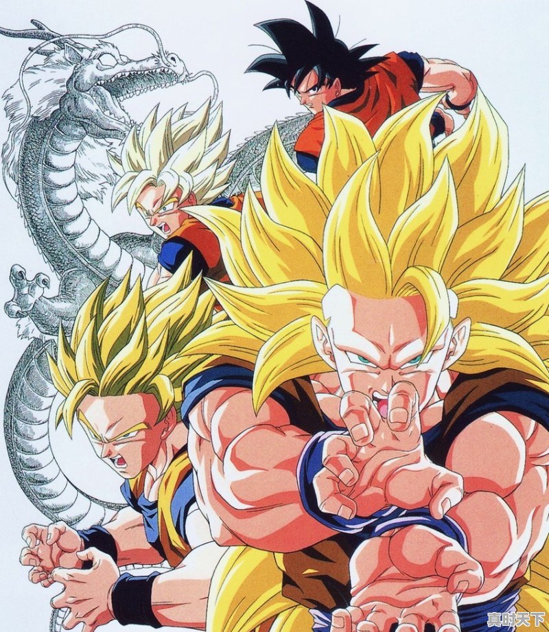 火热动漫推荐排行榜前十名有哪些名字 - 真时天下