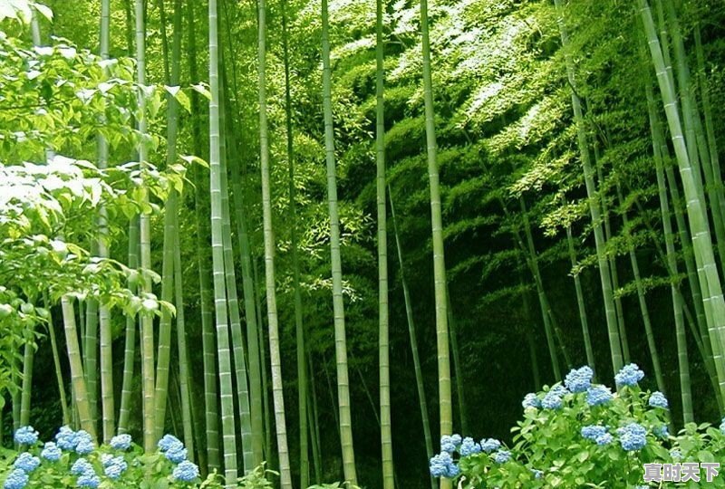 一万块买股票,一般一个月波动多少钱 - 真时天下