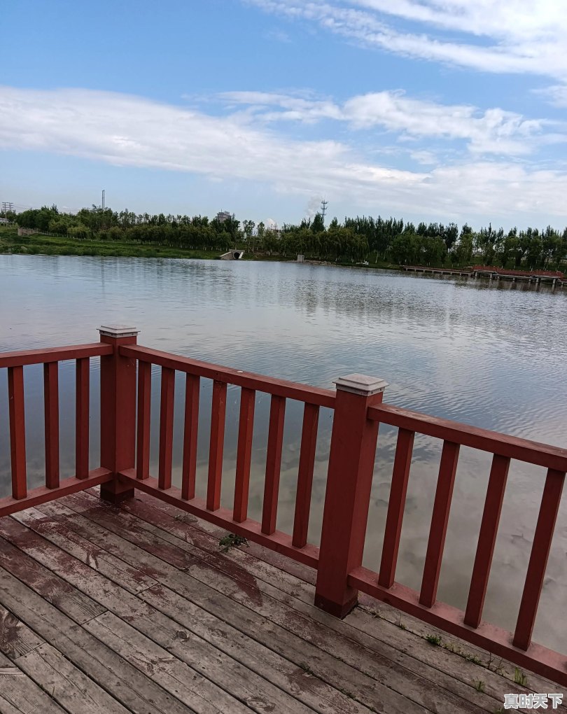 长期持有高分红股票,每年都有分红,那为什么还会亏钱呢 - 真时天下