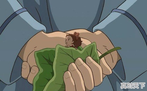 动漫中治愈和致郁分别是什么意思 - 真时天下