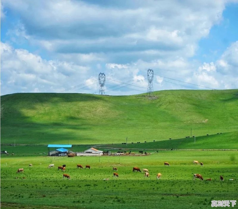 洪格尔天气预报 - 真时天下