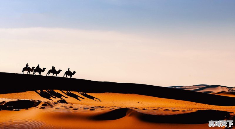为什么七大洲中只有欧洲没有较大的沙漠 - 真时天下