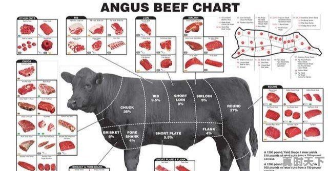 牛肉碎边角料，人可以吃吗 - 真时天下