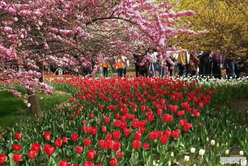 五月份去青海玩,会不会冷,有哪里好玩 - 真时天下