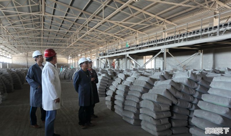 2019年农村建房子,石沙、水泥、钢材价格会下跌吗 - 真时天下