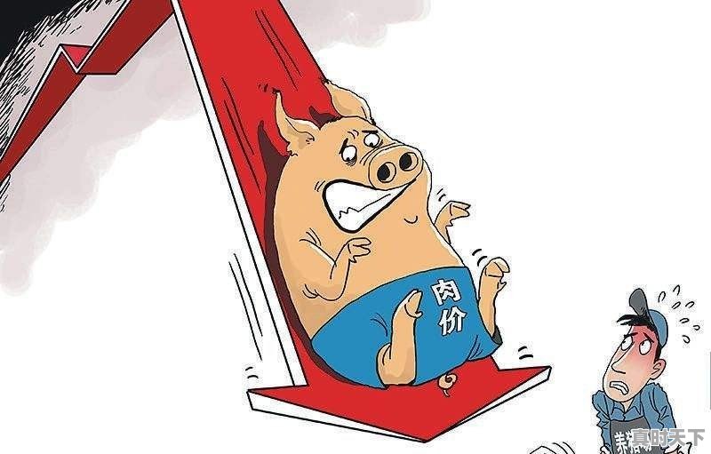 今日郴州的生猪价格行情如何 - 真时天下