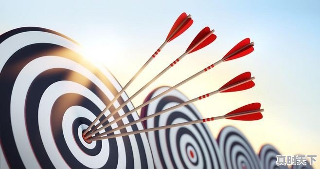 应届毕业生想从事金融领域的工作，应该从哪些岗位开始着手 - 真时天下