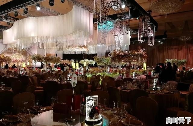 今日温州松叶蟹价格行情 - 真时天下