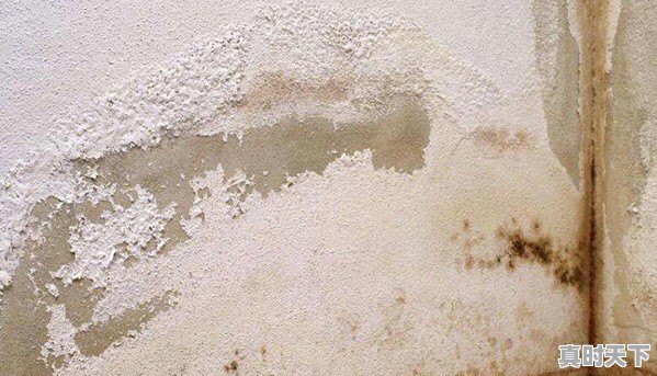 原墙天气 - 真时天下