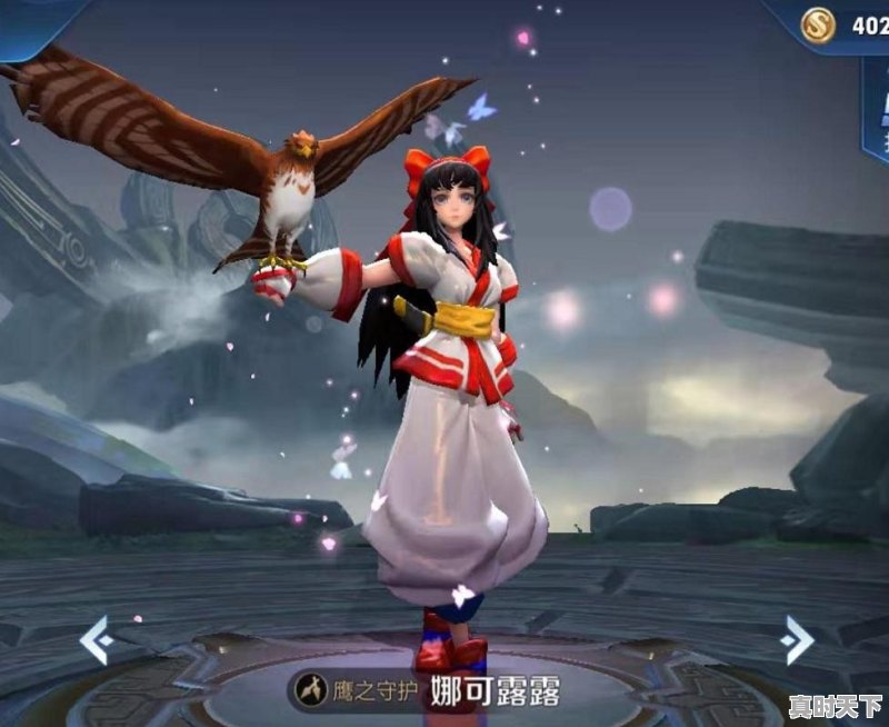 pubg宠物鸟值得买吗 - 真时天下