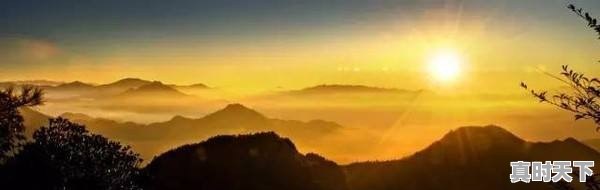 南充营山今日肥猪价格行情走势 - 真时天下