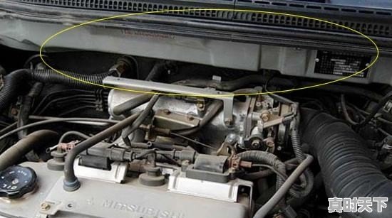 买的二手车为什么车里有潮气 - 真时天下