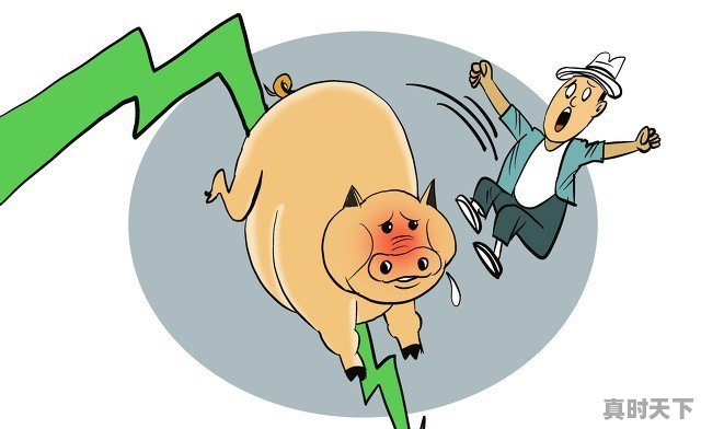 春天来了!生猪价格“底部上移”,4月30日涨破15元,发生了啥 - 真时天下