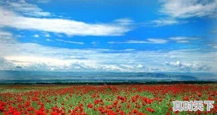 学金融专业的,快毕业了,准备去银行工作,但不知道去哪家银行好,大家有什么好建议吗 - 真时天下