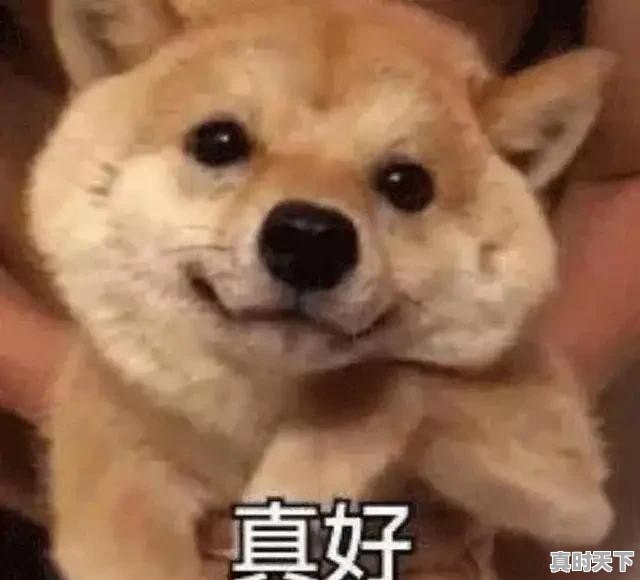 适合一年级看的科幻片 - 真时天下