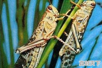 下蜀镇天气预报 - 真时天下