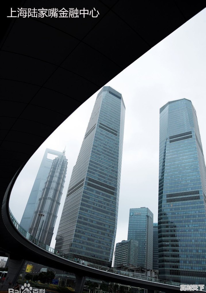 金融专业从事什么行业好 - 真时天下