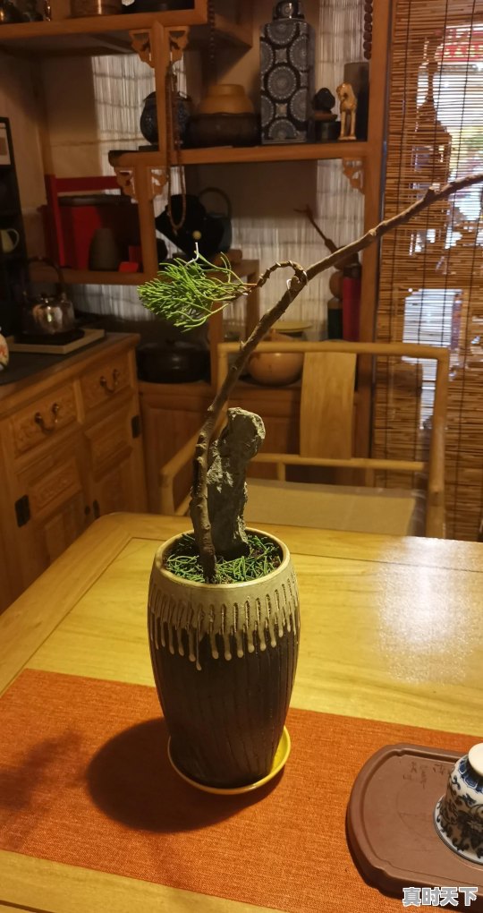 如何开通卖车权限 - 真时天下