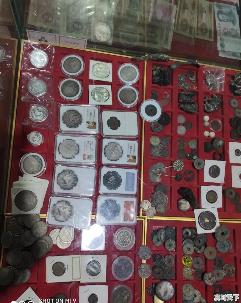 超零币今日最新价格 - 真时天下