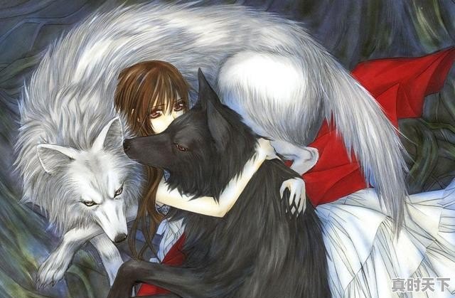 双男主的动漫推荐最新版 - 真时天下