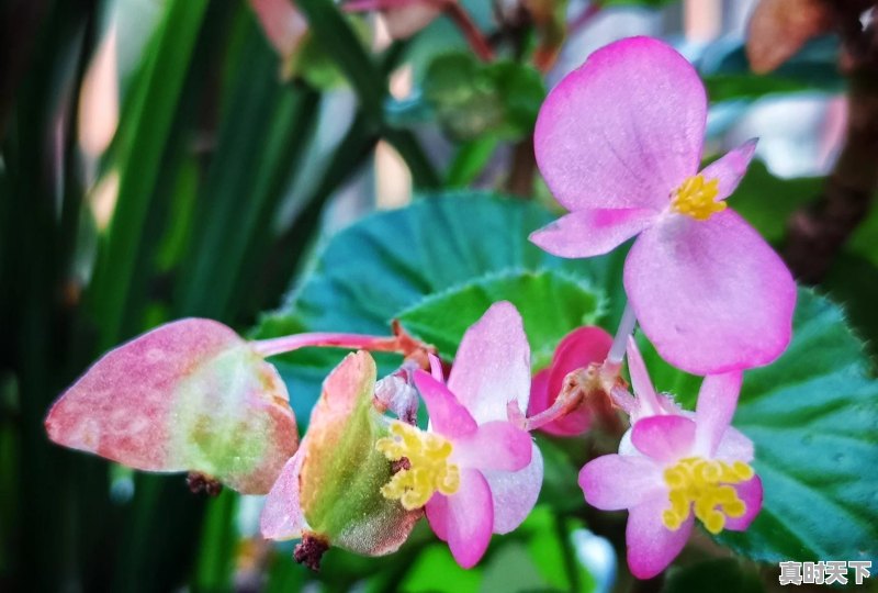 摆地摊是怎样的一种体验 - 真时天下