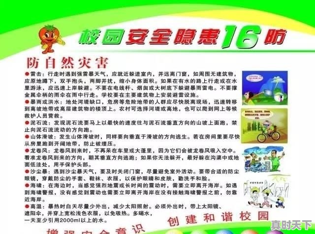 台风席卷后，东倒西歪的农作物还有救吗 - 真时天下