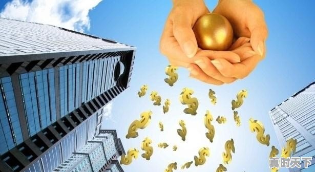 本科大学的金融专业具体学什么内容？现在就业前景如何 - 真时天下