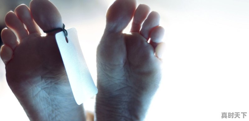 为什么凌晨快天亮的时候最冷 - 真时天下