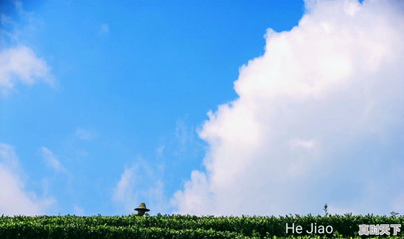 管阳镇天气预报 - 真时天下