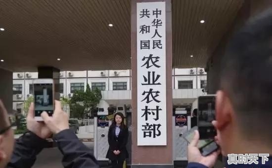 小麦今日价格3月18日 - 真时天下