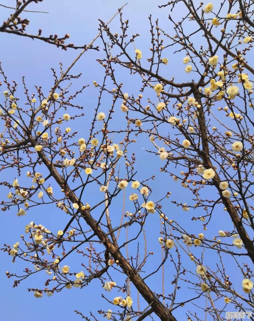 韩国单机游戏灵魂救星叫什么 - 真时天下