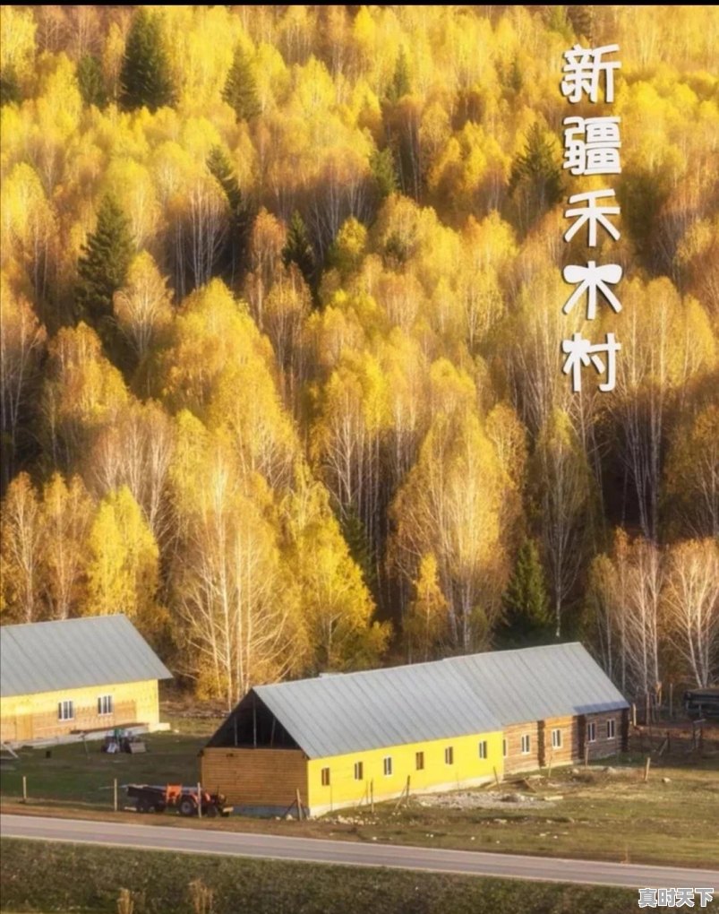 我想春节期间去婺源,有什么推荐的吗,在济南开车自驾游过去 - 真时天下