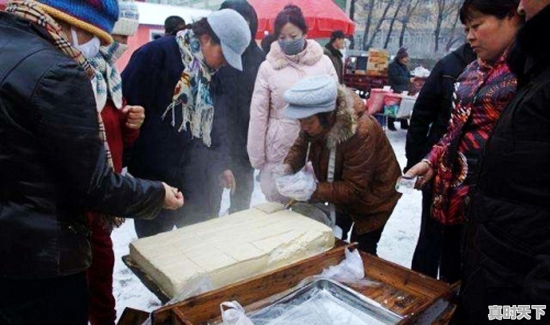 豆腐期权今日上市价格预测 - 真时天下