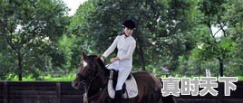 形容马场的词 - 真时天下